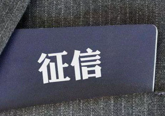 池州朴道征信：累计线上调用逾45亿次，日调用峰值达3500万次