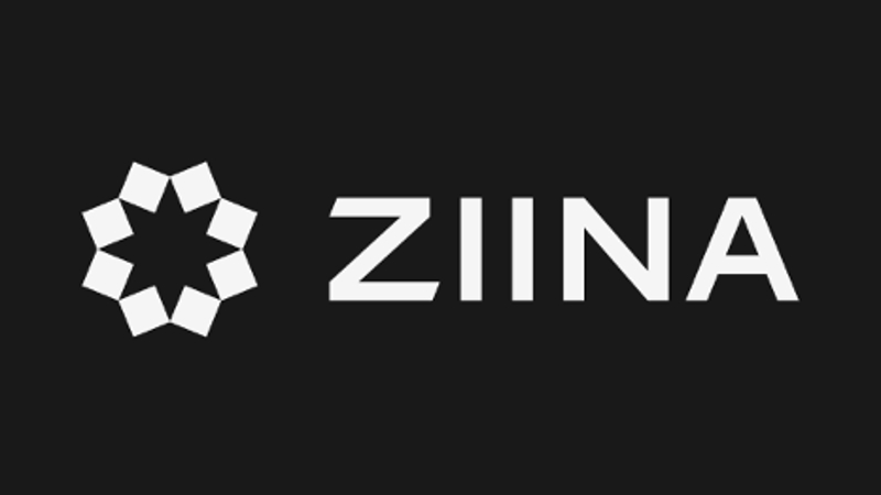 兴安盟企业支付服务商Ziina完成2200万美元A轮融资